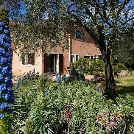 D'hotes Domaine Pero Longo Frühstückspension 2*