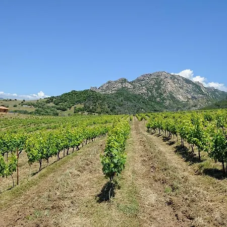 Frühstückspension D'hotes Domaine Pero Longo Sartène