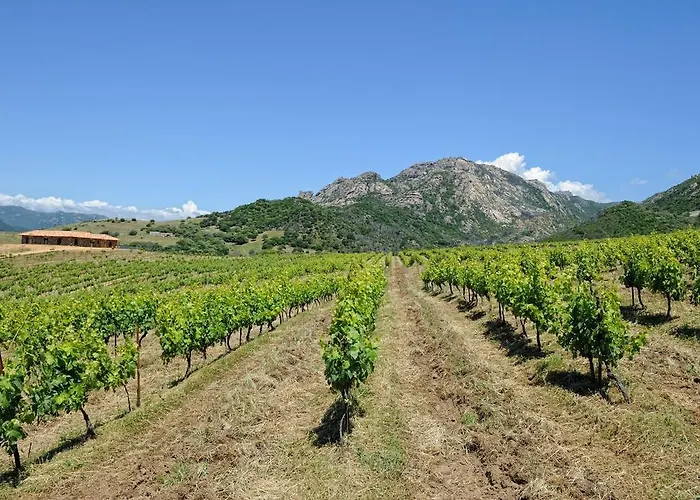 Alojamento de Acomodação e Pequeno-almoço D'hôtes Domaine Pero Longo Sartène
